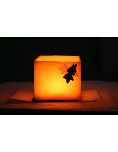 Fanal de Cera Cuadrado - Calabaza Fanal de Cera Cuadrado - Calabaza