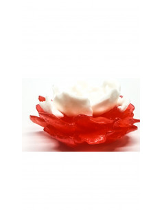 Jabón Sho Yu - Blanco y Rojo 2