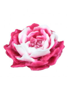 Jabón Sho Yu - Rosa y Blanco