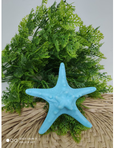 Jabón Estrella de Mar Grande