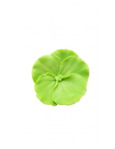 Jabón Pensamiento - Verde