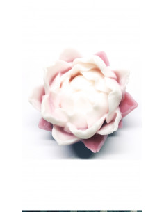 Jabón Nenufar - Fucsia y... 2