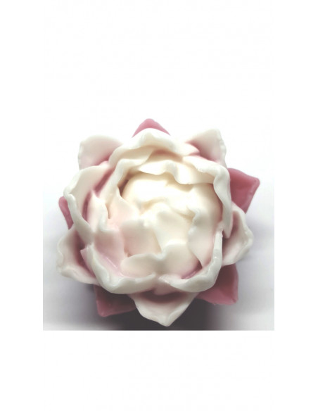 Jabón Nenufar - Fucsia y Blanco
