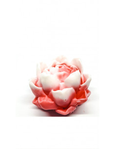 Jabón Nenufar - Rosa y Blanco 2