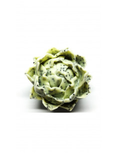 Jabón Nenufar - Verde con... 2