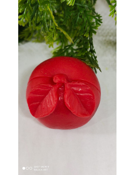 Jabón Porta Tarjetas Manzana