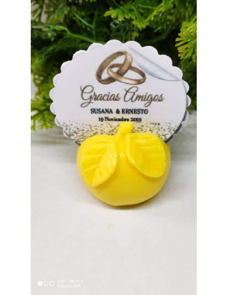 Jabón Porta Tarjetas Manzana