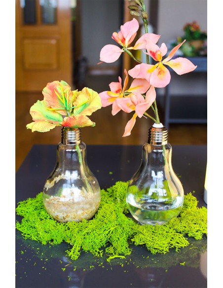 Bombilla de Cristal Decorativa