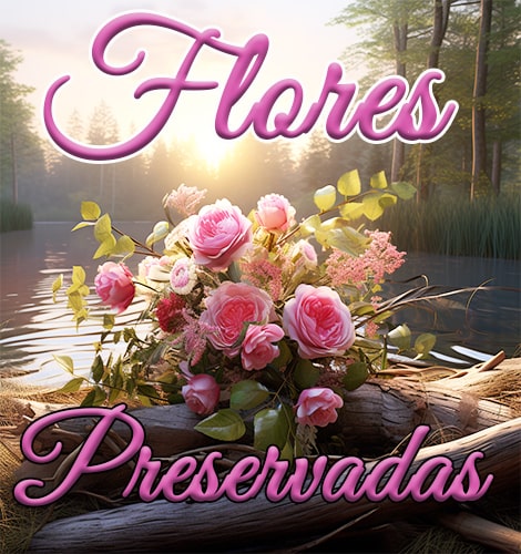 Flores Preservadas